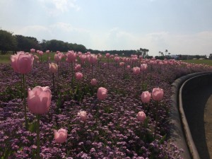 11117563_636487959784099_467888275_n