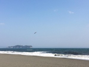 11160347_636486863117542_985638698_n